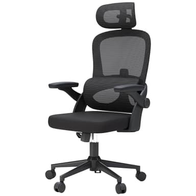SIHOO M102C - Sedia da ufficio con schienale alto, sedia da ufficio grande e alta con braccioli ribaltabili, supporto lombare regolabile, Sedie ergonomiche da ufficio adatte per uso domestico- Nero