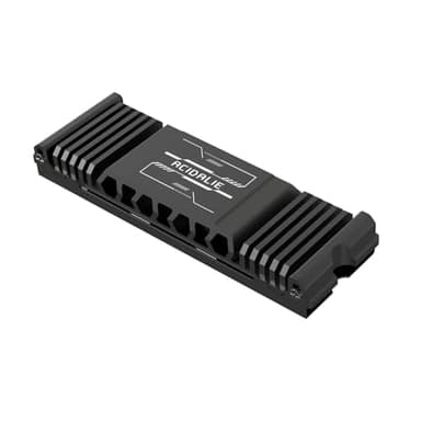 ACIDALIE Dissipatore di calore per PS5/PC | PS5 Pro, Slim, Legacy Models Game Console M.2 SSD 2280 (nero)