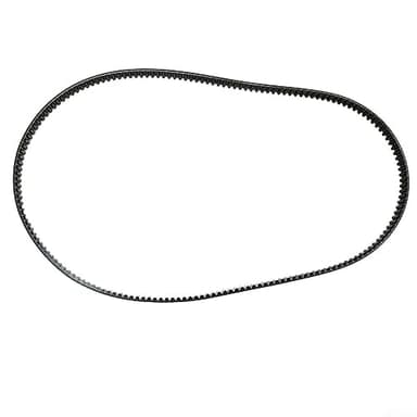 Migliora la tua macchina per il pane con una cinghia universale, perfetta per vari modelli (190T)