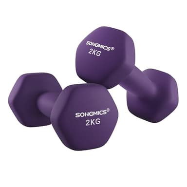 SONGMICS Set di 2 Manubri, 2 x 2 kg, Manubri Esagonale con Superficie in Vinile, per Fitness, Esercizio, Addestramento, per Palestro in Casa, Viola Cenere SYL64PL