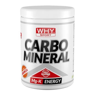 WHY SPORT CARBO MINERAL - Carboidrati con Maltodestrine - Potassio - Magnesio - Integratore Alimentare - Gusto Arancio - 400 gr