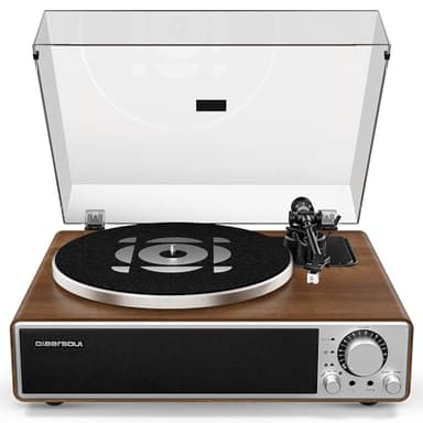 Qlearsoul ONE-Q Giradischi Vinile All-in-One con Bluetooth 5.4, Giradischi HiFi con Altoparlanti Integrati, Preamplificatore Phono, Cartuccia AT-3600L, 33/45 RPM, Spegnimento Automatico