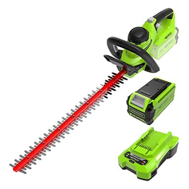 Greenworks G40HT61K2 Tagliasiepi a Batteria, Lame a Doppia Azione da 61cm, Taglia Rami e Steli Fino a 27mm di Spessore, 3000spm, Batteria 40V 2Ah e Caricabatterie, Garanzia 3 Anni