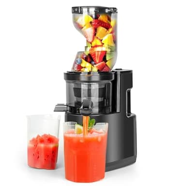 Estrattore frutta e verdura 500W, Rawhui Estrattore per frutta e verdura, spremiagrumi lento da 500 W con doppio tubo di alimentazione, volume di riempimento 1,2 L, 2 bicchieri, nero