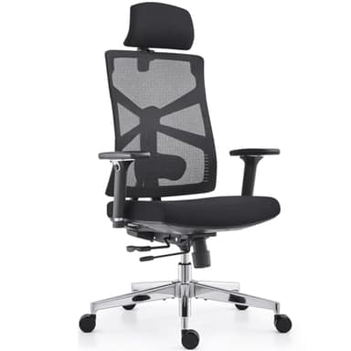HOLLUDLE Ergonomica da Ufficio con Schienale Adattivo, Sedia da Scrivania per Computer con Braccioli 4D, Sedile a Profondità Regolabile, Supporto Lombare e Poggiatesta 2D, Girevole, Nera