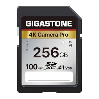 [5 anni di recupero dati gratuito] GIGASTONE Scheda di memoria da 256 GB Serie 4K Pro, velocità fino a 100 MB/s, compatibile con videocamere Canon, Nikon, Sony, A1 V30 UHS-I