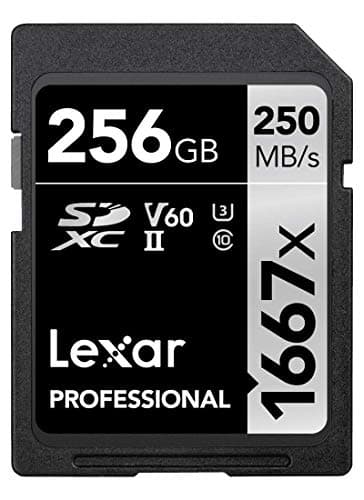 Lexar Professional 1667x Scheda di memoria SDXC 256 GB, UHS-II, Fino a 250 MB/s di lettura, Class 10, U3, V60, per Fotografi Professionisti, Videografi, Appassionati (LSD256CB1667)