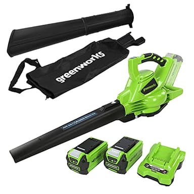 Greenworks 40V Aspiratore Soffiatore a Batteria per Foglie, Motore Brushless, 280km/h, 9,63m³/min, Sacco di Raccolta da 45L, Due Batterie 2Ah e Caricabatterie, Garanzia 3 Anni GD40BVK2X