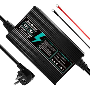 20A Carica Batteria Lifepo4 12V Caricabatterie al Litio AC-DC Caricabatteria, Caricabatterie Lifepo4 Automatico Intelligente e Mantenitore per Litio Lifepo4 Deep Cycle batteria di auto RV Marine